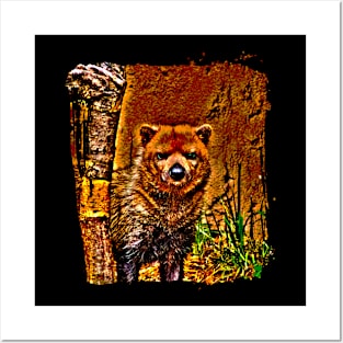 Bush Dog Posters and Art